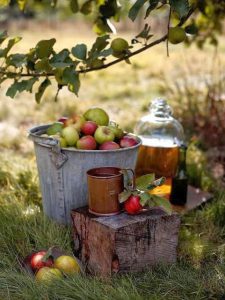 Featured Promotion - Apple Cider Station